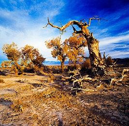 《战地手游》主创：2042的失败是手游取消和工作室被关的主因